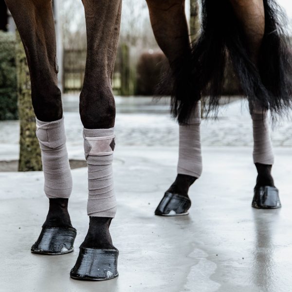 Kentucky Horsewear Bandes Polo Polaire Basic Velvet Beige En Cadence