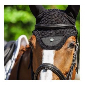 Sellerie En Cadence Montfort l'Amaury A Tiss B Bonnet cheval Casque d'or Noir
