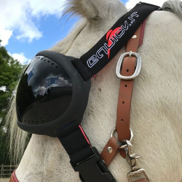 Sellerie En Cadence Montfort L'Amaury Equidiva Masque Lunettes Anti-UV Noir Travail du cheval Protection oculaire