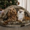 Sellerie En Cadence Montfort l'Amaury Kentucky dogwear panier igloo chien