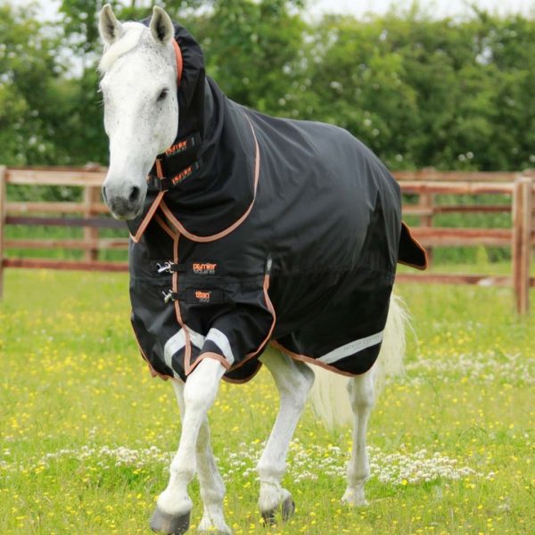 Sellerie En Cadence Montfort l'Amaury Premier Equine Titant 300g Turnout Rug Snug Fit Neck Cover Black