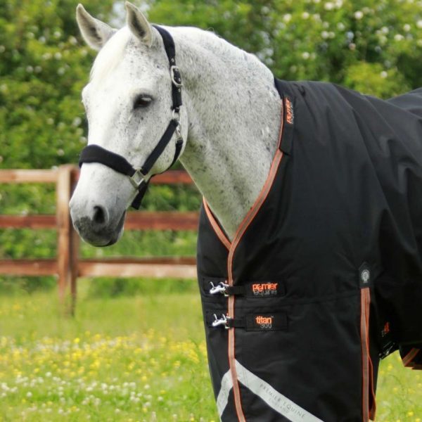 Sellerie En Cadence Montfort l'Amaury Premier Equine Titant 300g Turnout Rug Snug Fit Neck Cover Black