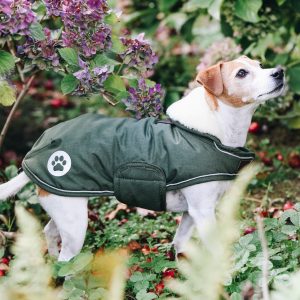 Sellerie En Cadence Montfort l'Amaury Kentucky Dogwear Manteau chiens waterproof vert olive