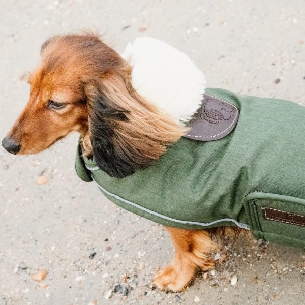 Sellerie En Cadence Montfort l'Amaury Kentucky Dogwear Manteau chiens waterproof vert olive