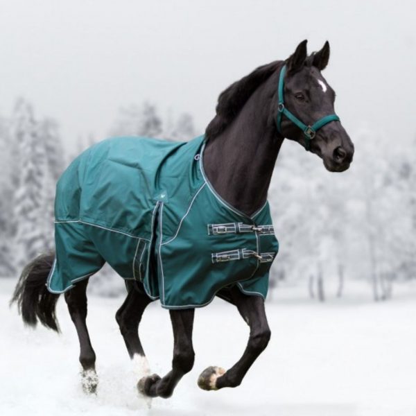 Sellerie En Cadence Montfort l'Amaury Waldhausen Couverture extérieur Comfort Vert Sapin cheval