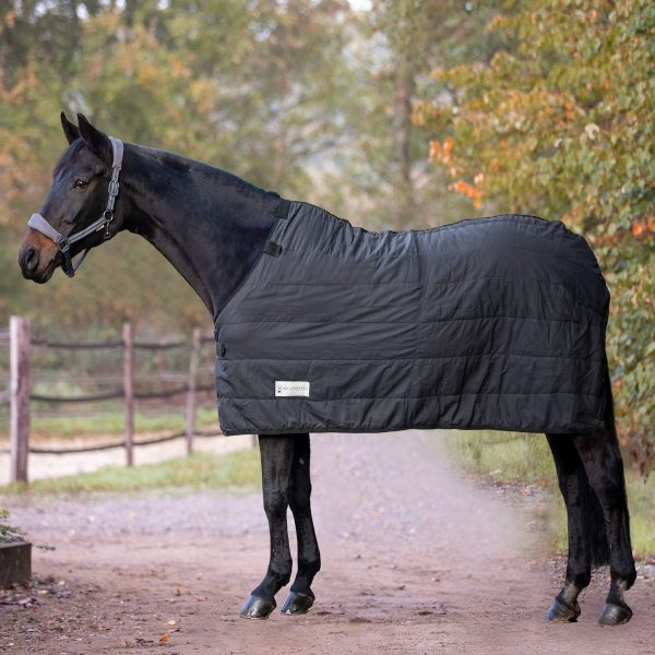 Sellerie En Cadence Montfort l'Amaury Waldhausen sous couverture 100g 200g noir cheval