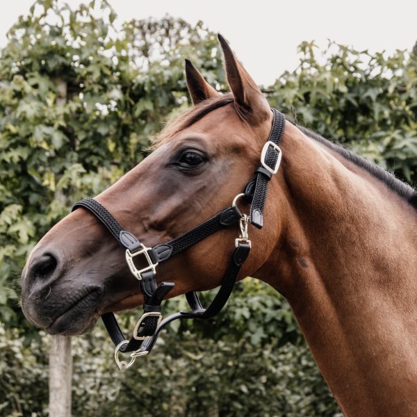 Sellerie En Cadence Montfort l'Amaury Kentucky Horsewear Licol nylon tressé cheval noir