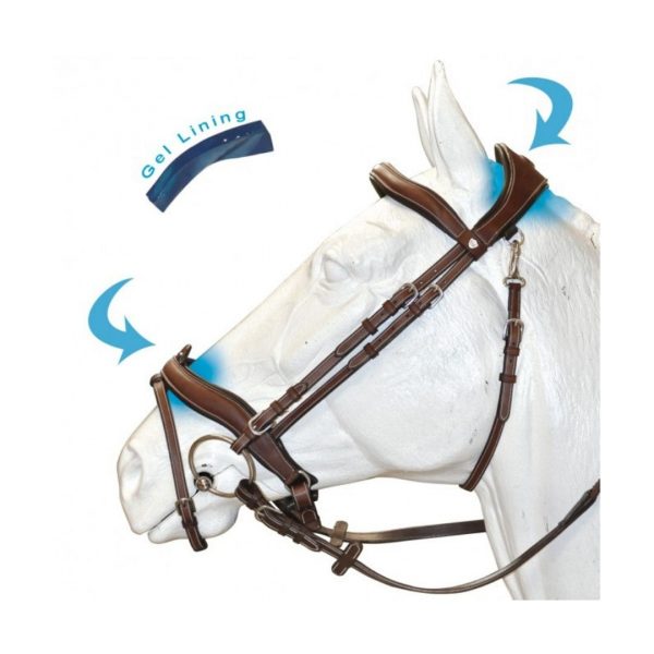 Sellerie En Cadence Montfort l'Amaury Flags & Cup bridon comfort combiné cuir marron cheval