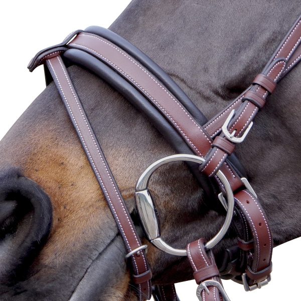 Sellerie En Cadence Montfort l'Amaury Flags & Cup Bridon Madrid marron cheval