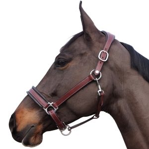 Sellerie En Cadence Montfort l'Amaury Flags & Cup Licol comfort cuir marron cheval