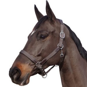 Sellerie En Cadence Montfort l'Amaury Flags & Cup licol nylon cuir marron cheval