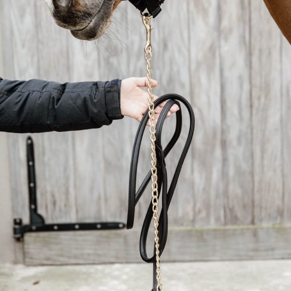 Sellerie En Cadence Montfort l'Amaury Kentucky longe présentation 2m70 noir cheval