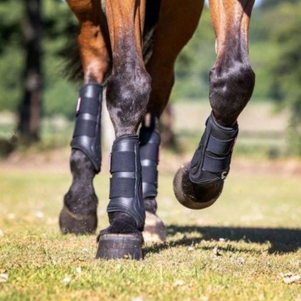 Sellerie En Cadence Montfort l'Amaury Lemieux guêtres proshell brushing boots noir cheval