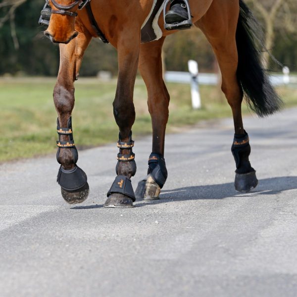 Sellerie En Cadence Montfort l'Amaury Kentucky Horsewear Cloches cuir noir cheval protections