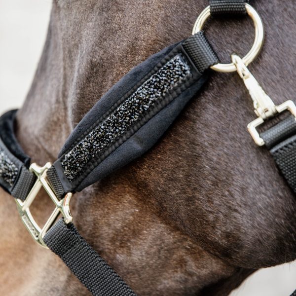 Sellerie En Cadence Montfort l'Amaury Kentucky Horsewear licol cheval glitter stone noir