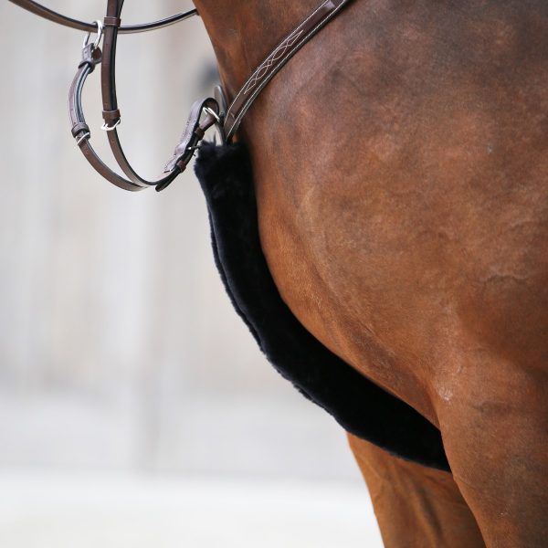 Sellerie En Cadence Montfort l'Amaury Kentucky Horsewear fourreau de collier de chasse mouton noir marron naturel cheval poitrail