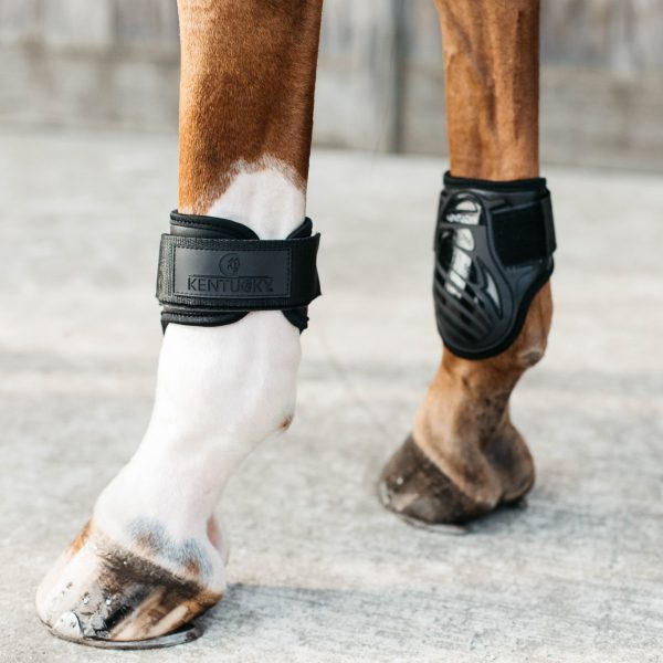 Sellerie En Cadence Montfort l'Amaury Kentucky Horsewear protèges boulets bamboo shield elastic noir