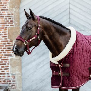 Sellerie En Cadence Montfort Amaury Kentucky Horsewear Couverture Présentation Velvet Velours Show Rug 160g Bordeaux