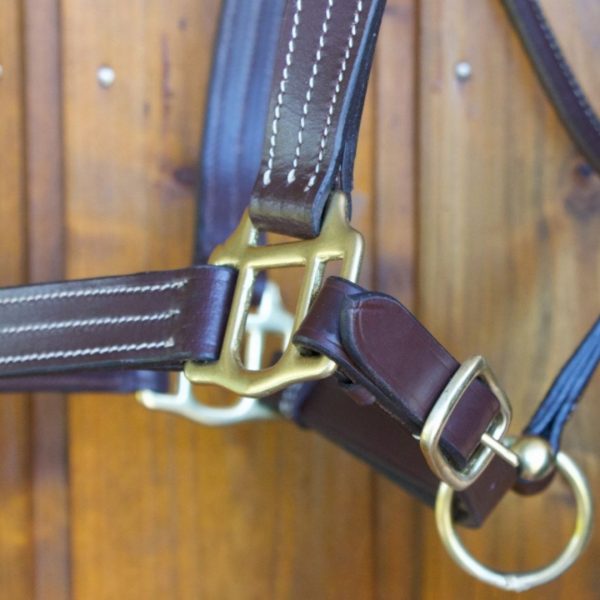 Sellerie En Cadence Montfort l'Amaury TdeT licol cuir triple stitched havane cheval
