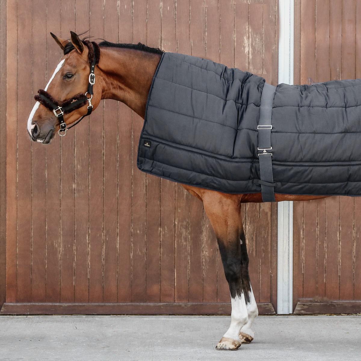 couverture duvet 300g noir sellerie en cadence Montfort l'Amaury Kentucky Horsewear cheval hiver
