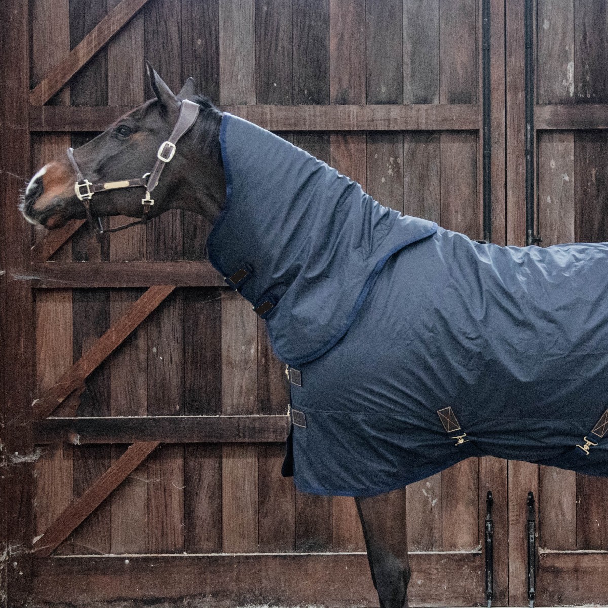 cou couverture hurricane 0g 150g Kentucky Horsewear Sellerie En Cadence Montfort l'Amaury cheval hiver pluie neck cover all weather