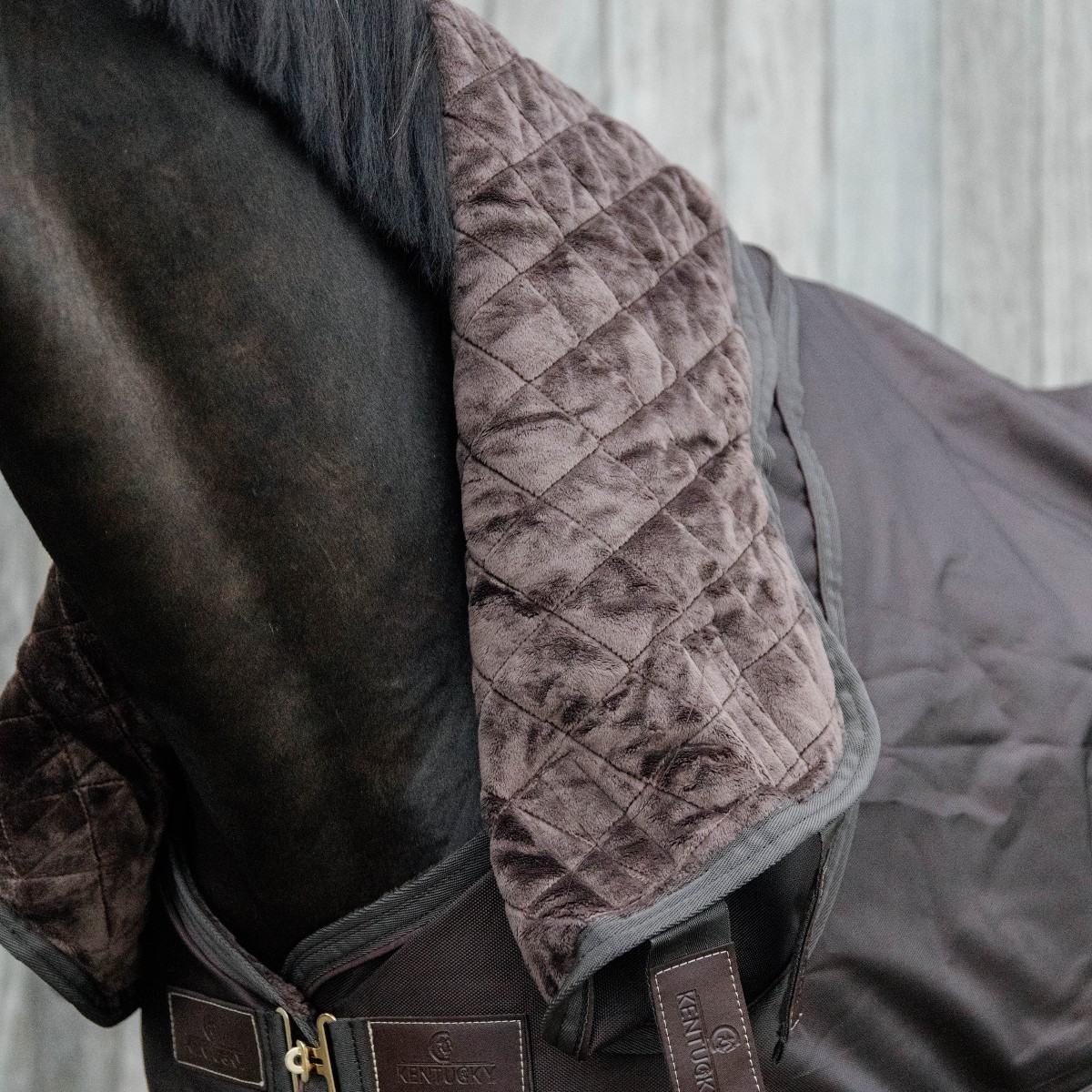 couvre-cou pro 150g marron Kentucky Horsewear Sellerie En Cadence Montfort l'Amaury couverture extérieur cheval