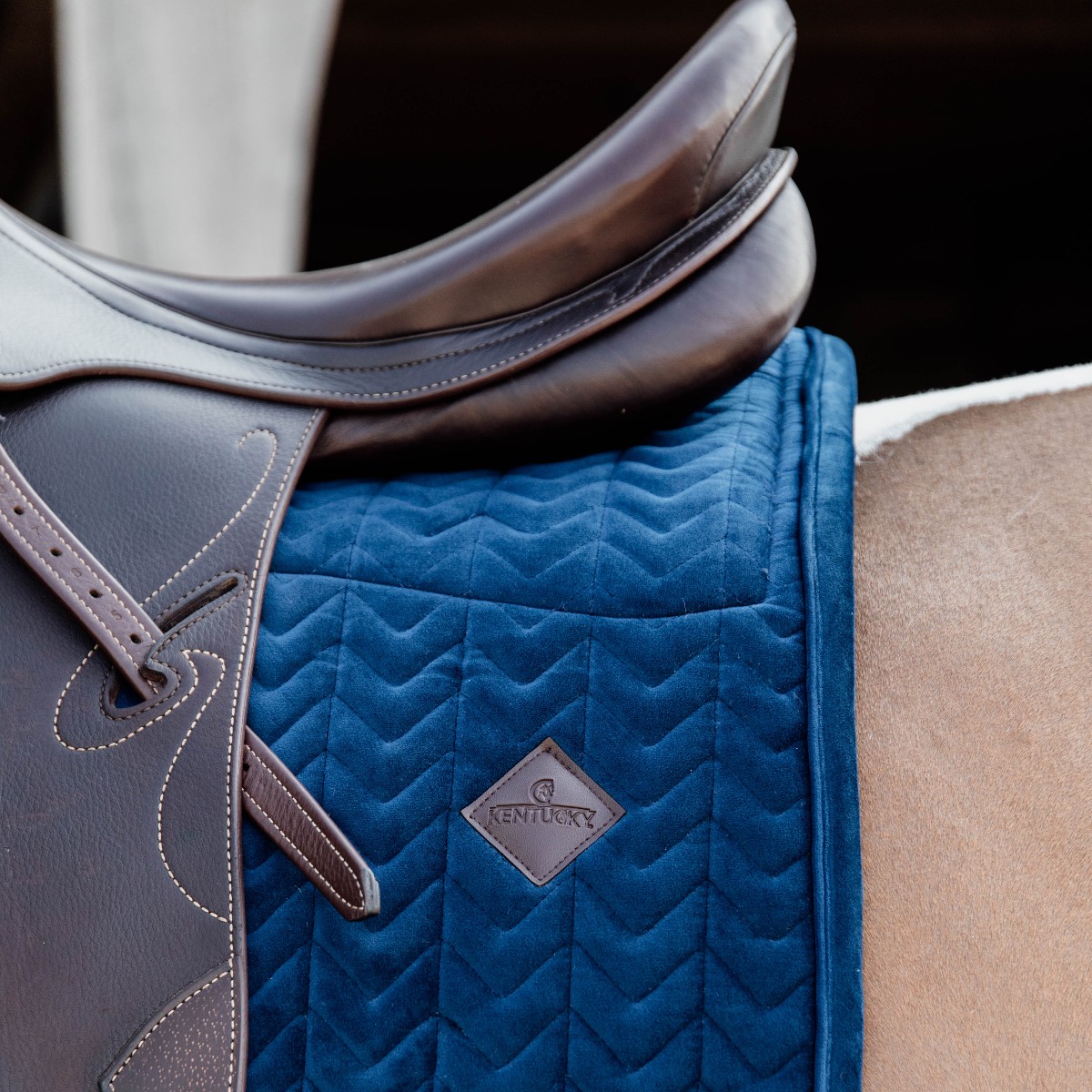 tapis skin friendly velvet dressage bleu marine Kentucky Horsewear Sellerie En Cadence Montfort l'Amaury cheval