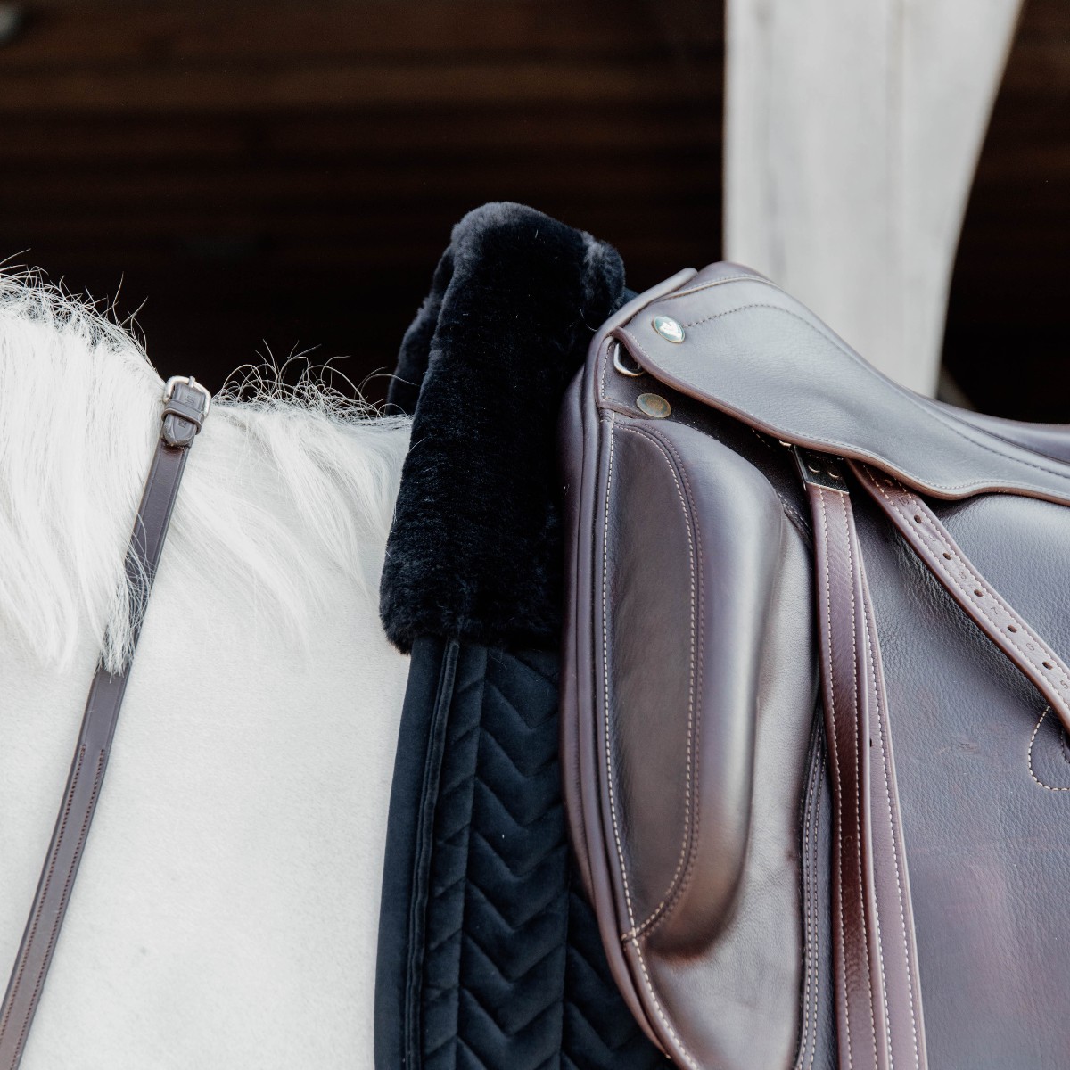 tapis skin friendly velvet dressage noir Kentucky Horsewear Sellerie En Cadence Montfort l'Amaury cheval