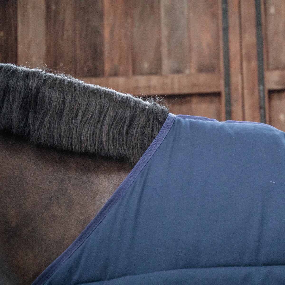 sous couverture classic 100g 200g 300g bleu marine Sellerie En Cadence Montfort l'Amaury Kentucky Horsewear cheval hiver