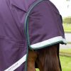 buster hardy 100g violet Sellerie En Cadence Montfort l'Amaury Premier Equine couverture extérieur hiver cheval