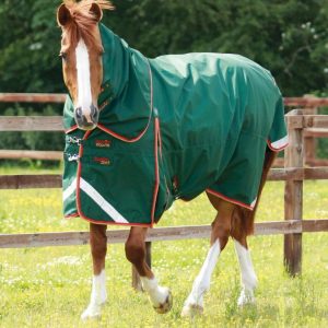 buster classic 0g vert Sellerie En Cadence Montfort l'Amaury Premier Equine Neck cover couvre-cou cheval hiver couverture d'extérieur