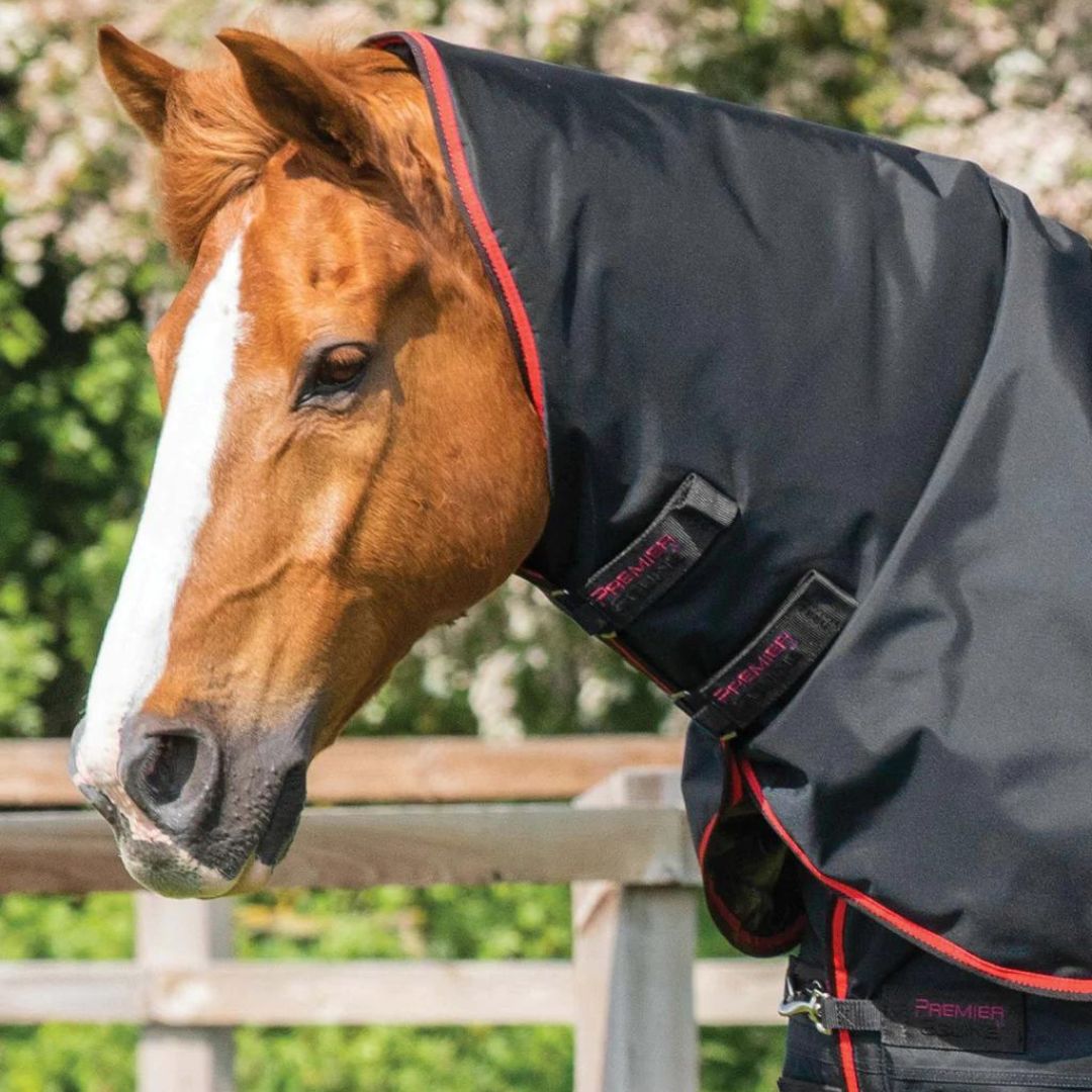 buster classic 250g noir Sellerie En Cadence Montfort l'Amaury Premier Equine Neck cover couvre-cou cheval hiver couverture d'extérieur