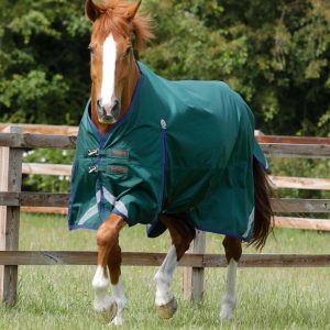 buster original 0g vert Sellerie En Cadence Montfort l'Amaury Premier Equine couverture d'extérieur hiver cheval
