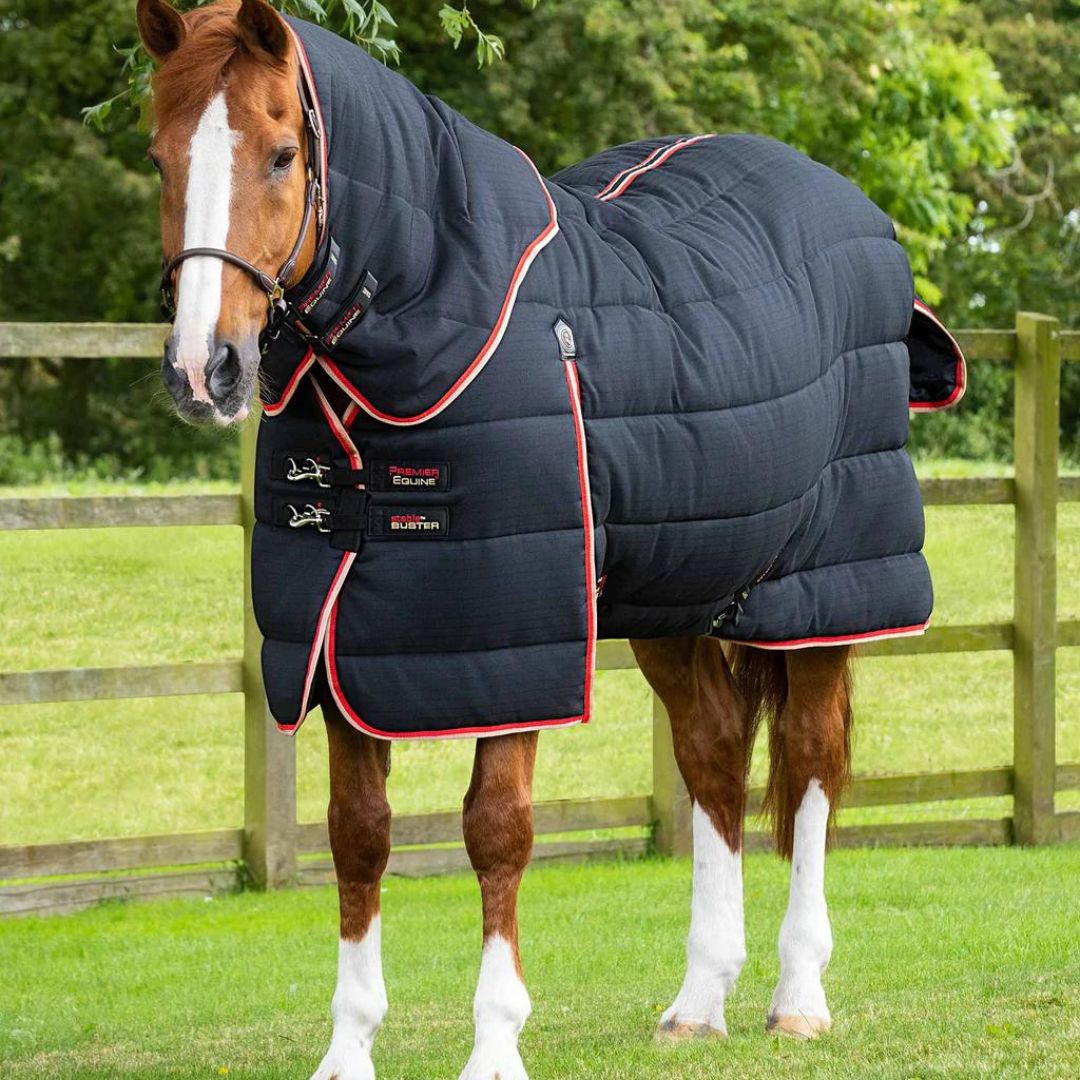 buster cou 450g noir Sellerie En Cadence Montfort l'Amaury Premier Equine couverture écurie cheval hiver