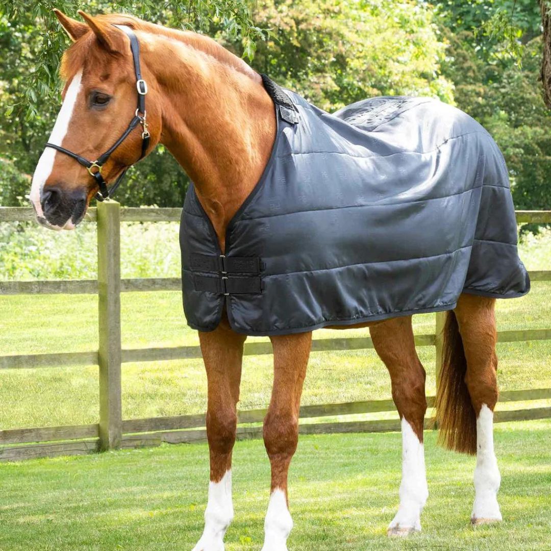 sous-couverture standard 0g 100g 200g 350g noir Sellerie En Cadence Montfort l'Amaury Premier Equine couverture cheval hiver