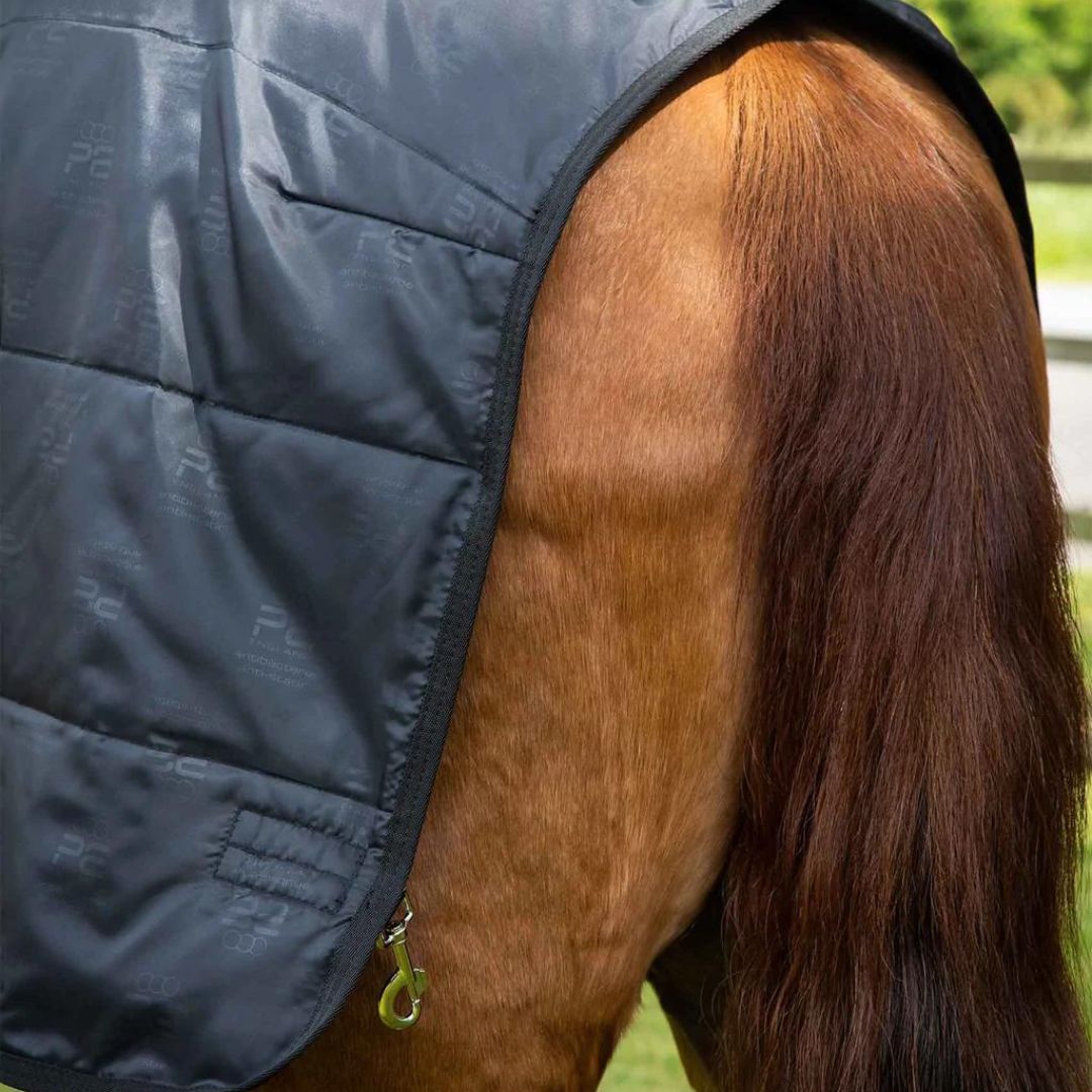 sous-couverture standard 0g 100g 200g 350g noir Sellerie En Cadence Montfort l'Amaury Premier Equine couverture cheval hiver
