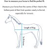 Guide des tailles couvertures Premier Equine Size Chart Rugs Sellerie En Cadence Montfort l'Amaury