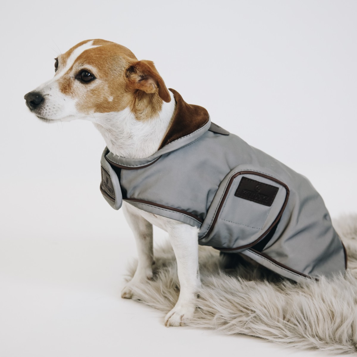 manteau chien waterproof reflective gris Kentucky Horsewear Sellerie En Cadence Montfort l'Amaury textile chien hiver