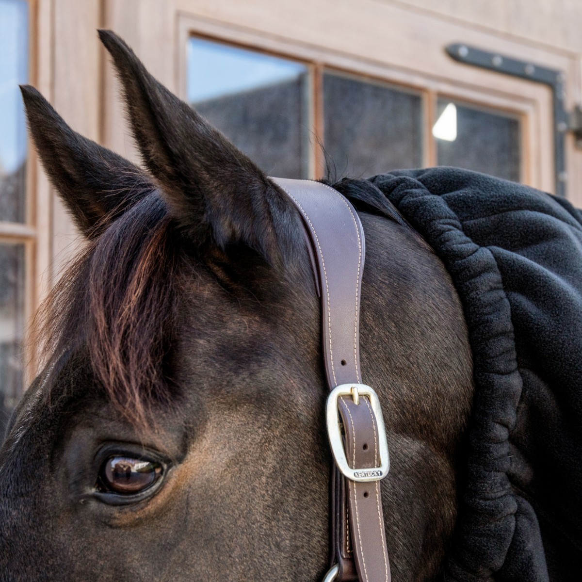 écharpe polaire heavy fleece noir Sellerie En Cadence Montfort l'Amaury Kentucky Horsewear couvre cou horse scarf cheval
