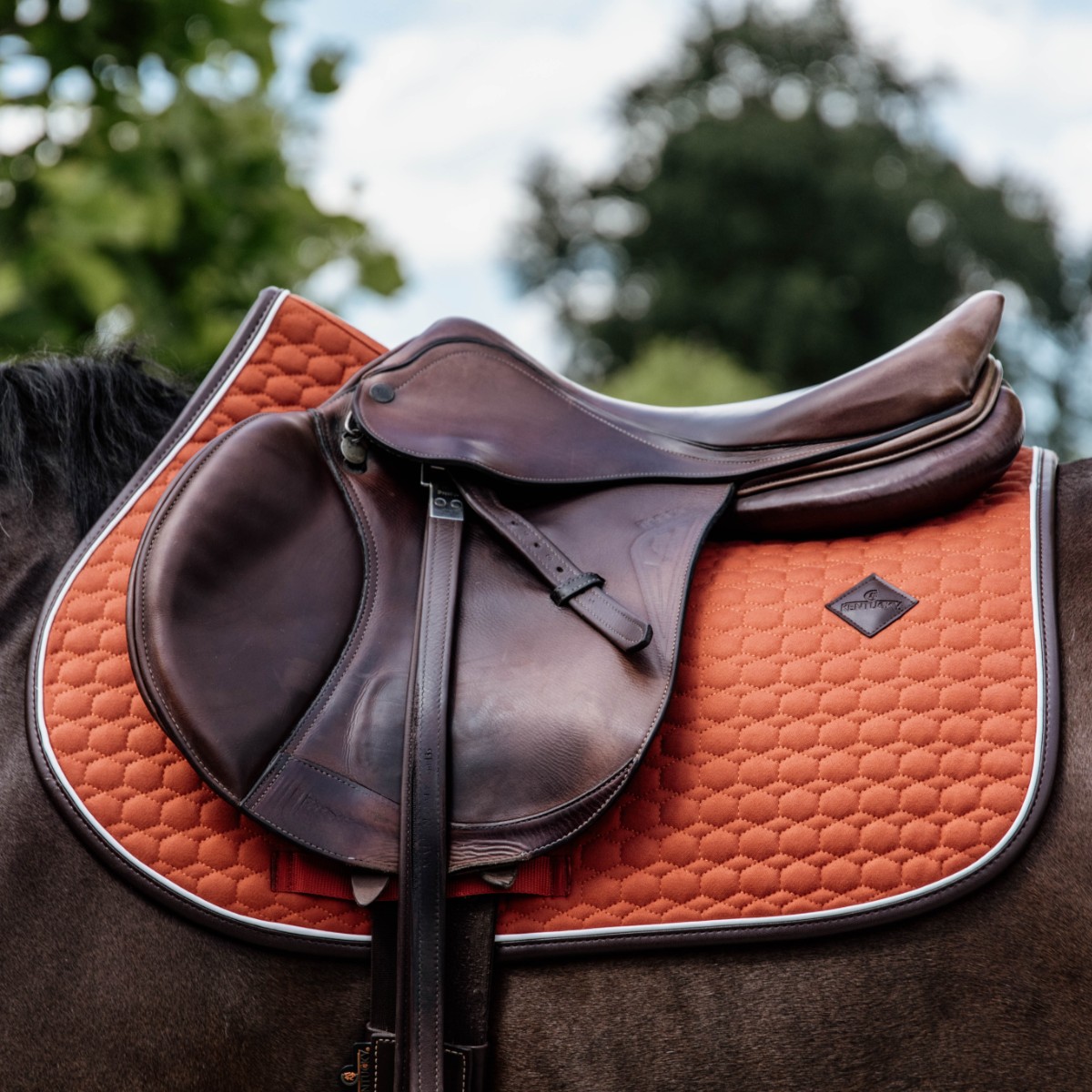 tapis classic leather Jumping Orange Kentucky Horsewear Sellerie En Cadence Montfort l'Amaury textile cheval saddle pad