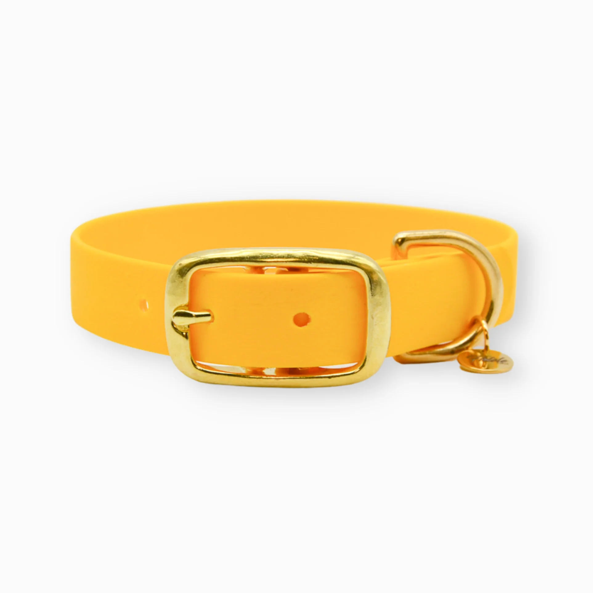 Sellerie En Cadence Montfort l'Amaury Concept Store Chiens Chevaux Cavaliers Fidèle Paris Colliers Aventurier Jaune Yellow Sun